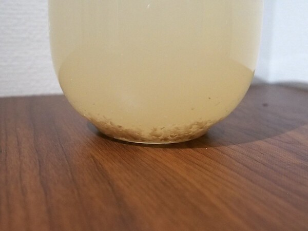 mapple