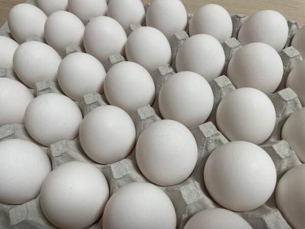 greenfarm-egg