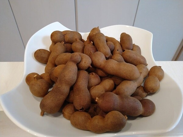 ameblo