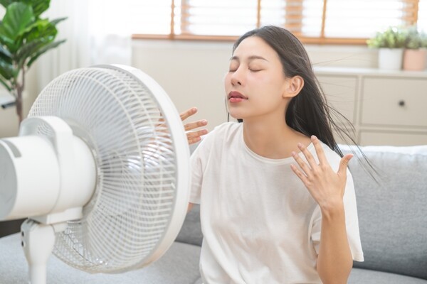 livedoor