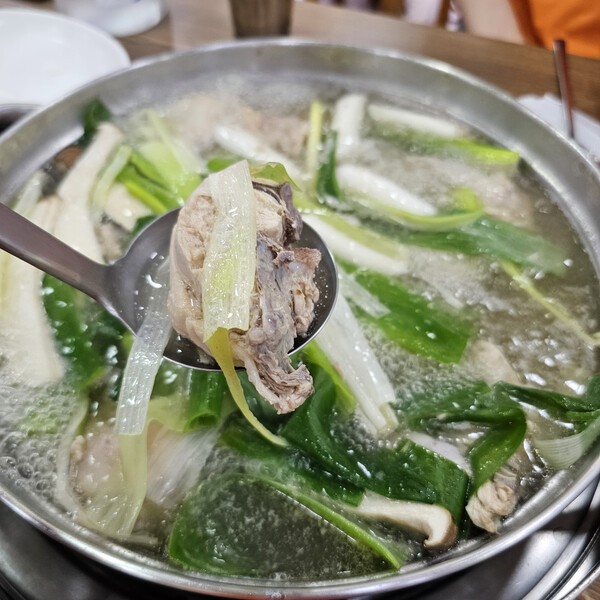 건강의 모든 것