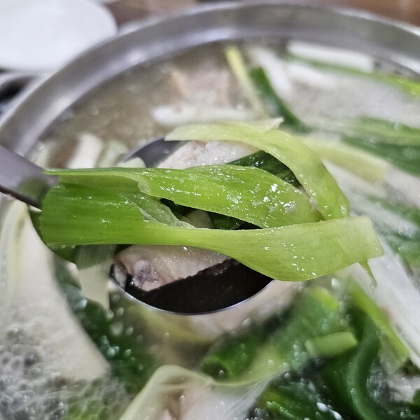 건강의 모든 것
