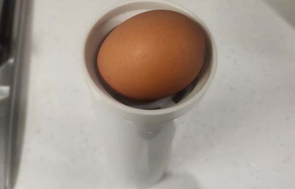 건강의 모든것