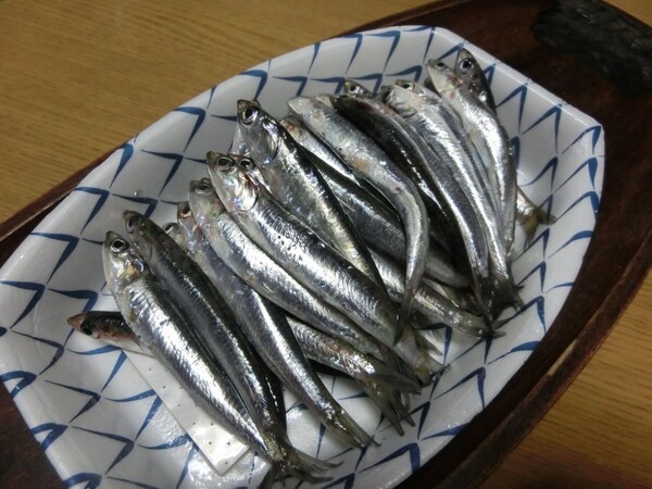oshibana