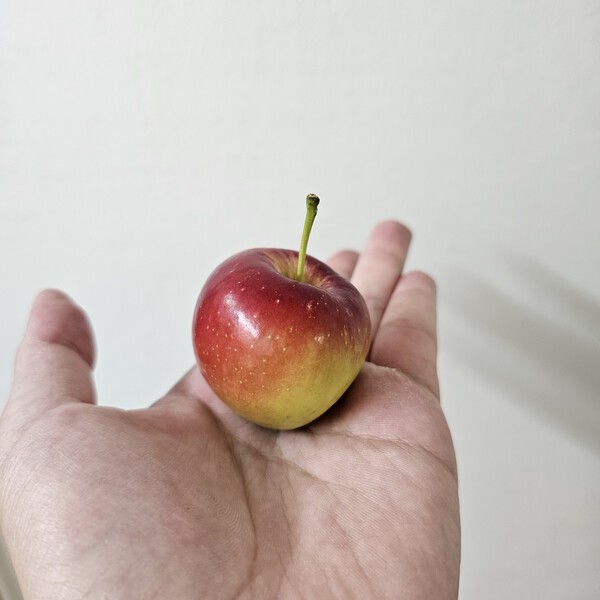 건강의 모든 것