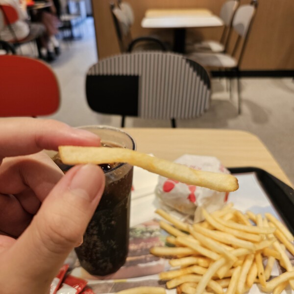 건강의 모든 것