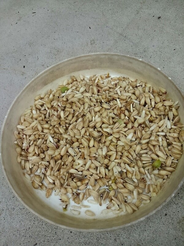 ameblo