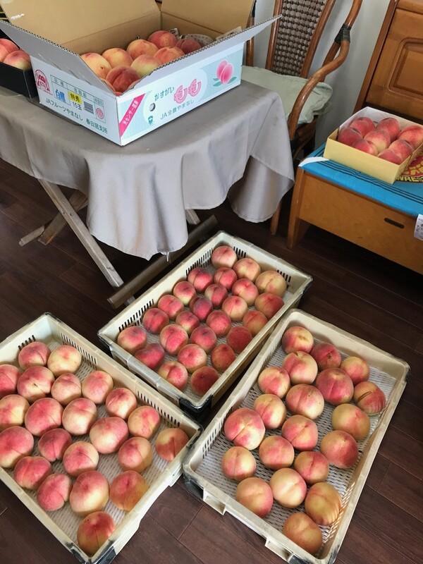 mbp-japan