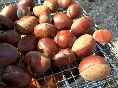 beachsidecooking