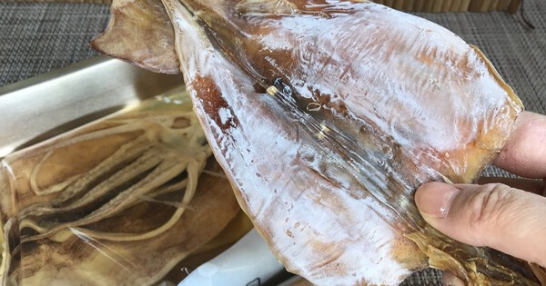 kurashinista