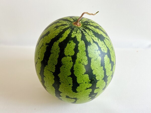 macaro-ni