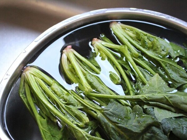 kurashinista