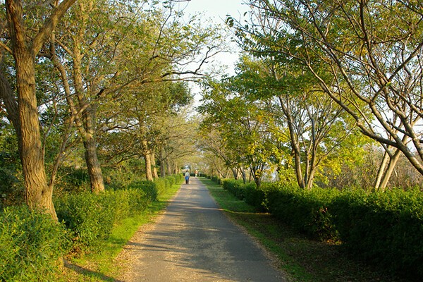 tegaphoto