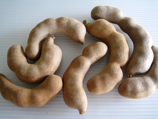 papagyu