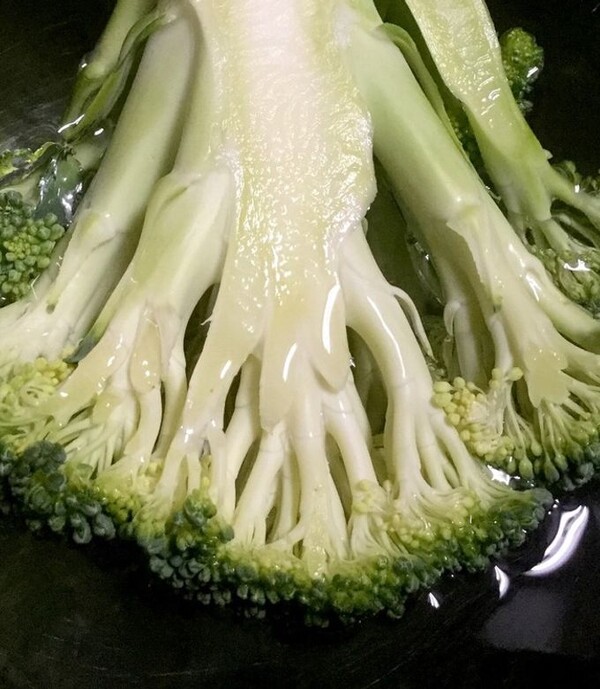 cookpad