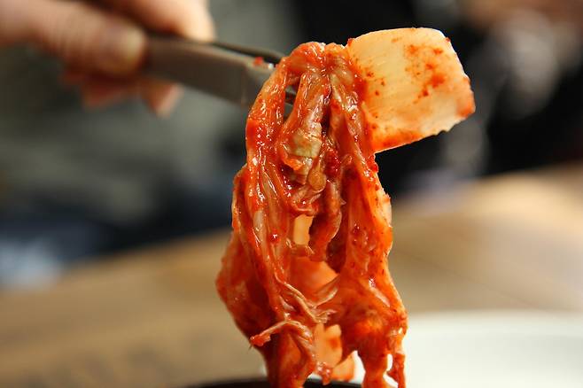 배추김치