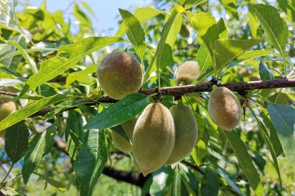 온라인 커뮤니티