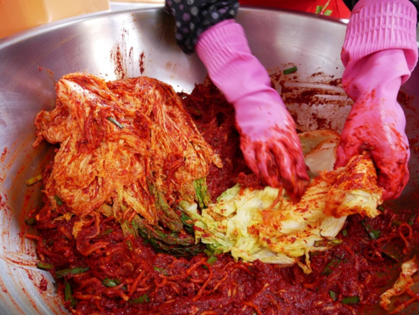 온라인 커뮤니티