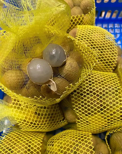 온라인 커뮤니티