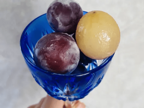 온라인 커뮤니티