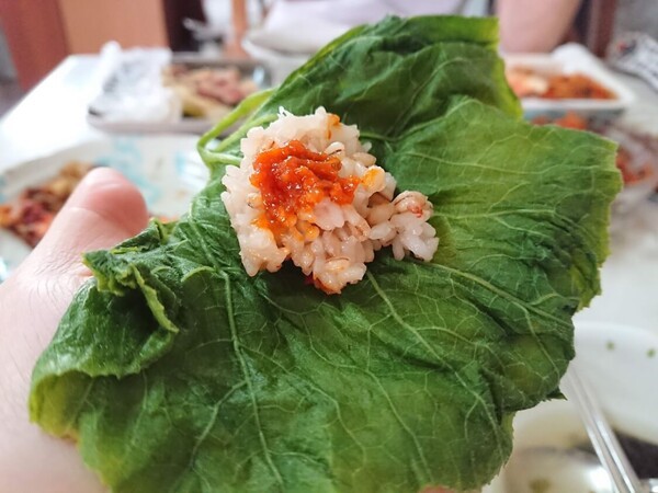 온라인 커뮤니티