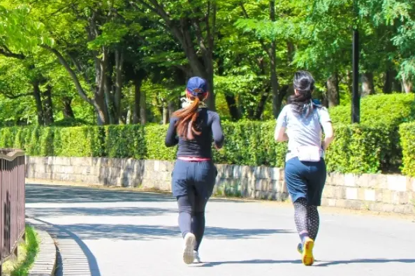 온라인 커뮤니티