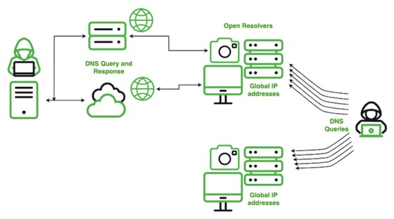  Domain Name System (DNS) reconnaissance example by Chinese hacking group SecShow / Capture from Infoblox\'s report