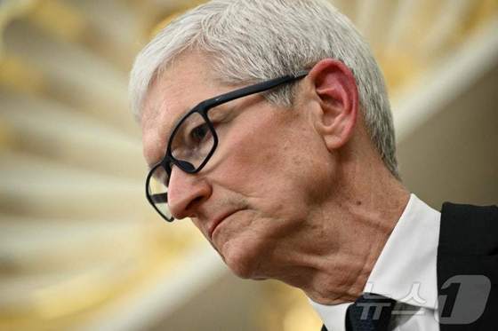 Tim Cook, Apple CEO / News1