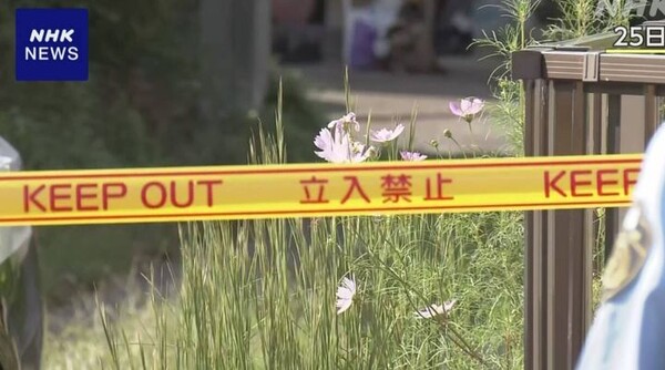  引用：ニューシス