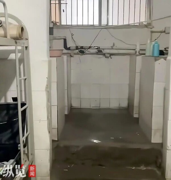 引用： ニューシス