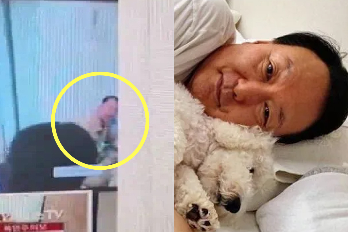 이해를 돕기 위한 사진= SNS 커뮤니티 캡처 / 윤석열 인스타그램 캡처