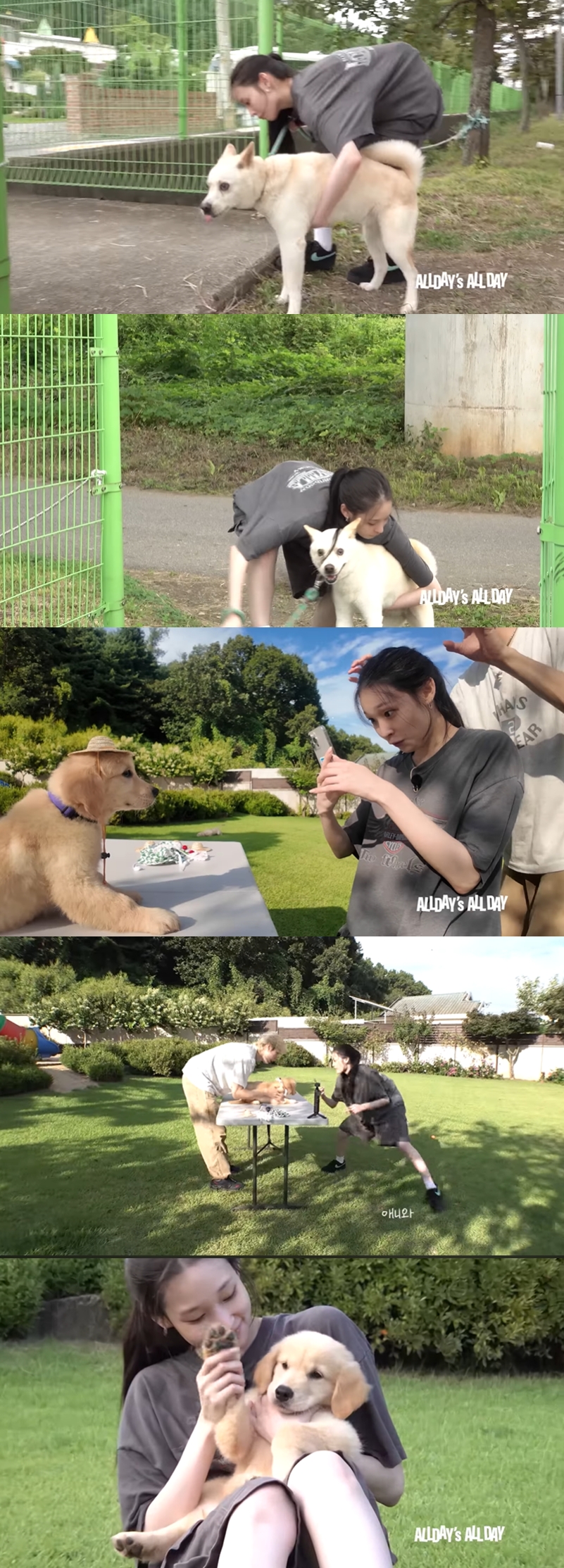 引用：YouTubeチャンネル「ALLDAY PROJECT」
