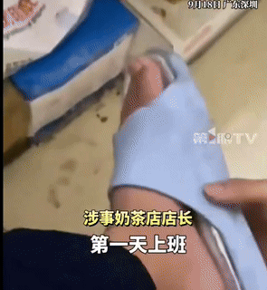 引用:デイリーアン