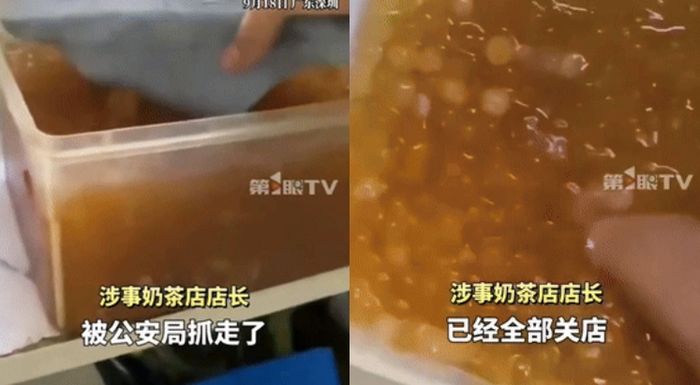引用:デイリーアン