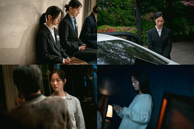 티브이데일리 포토