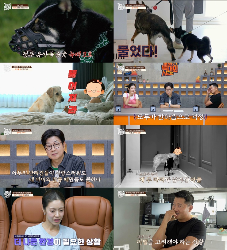 티브이데일리 포토