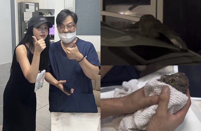 티브이데일리 포토