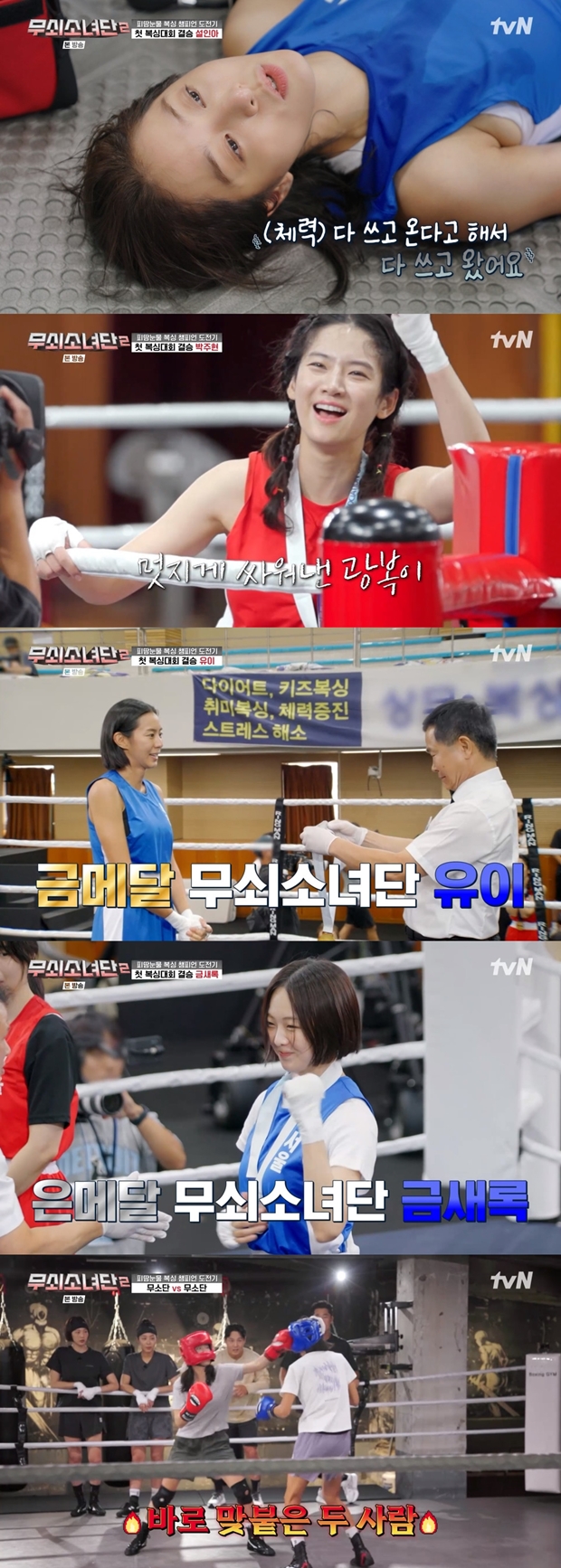 티브이데일리 포토