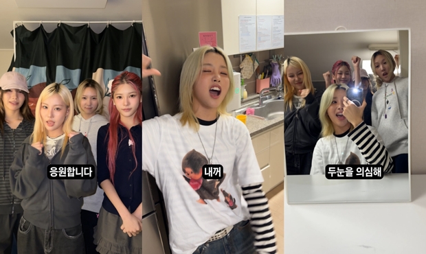 티브이데일리 포토