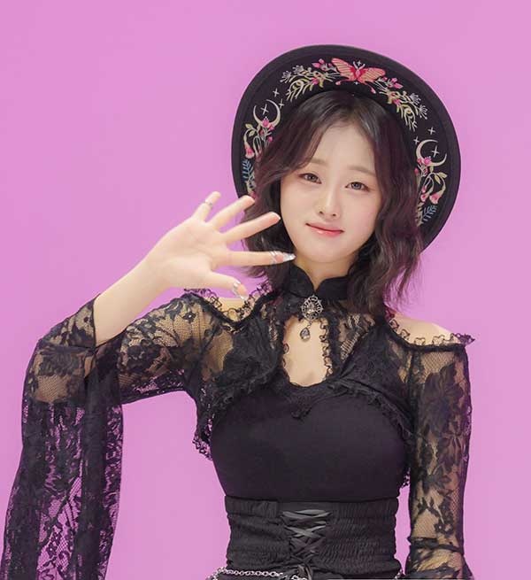 티브이데일리 포토