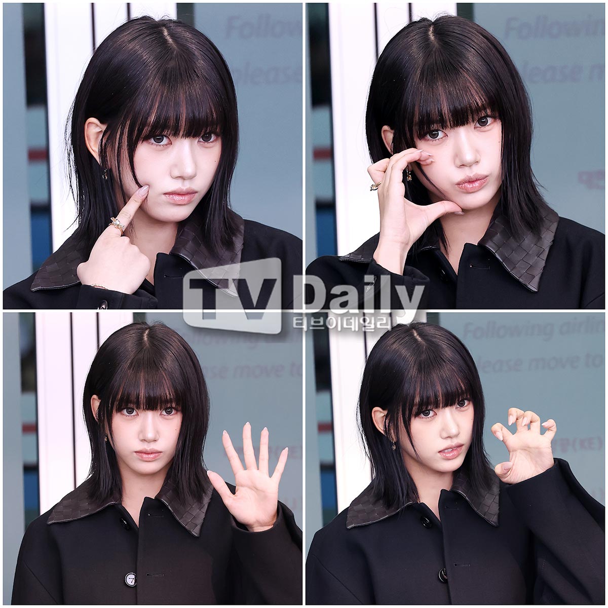 티브이데일리 포토