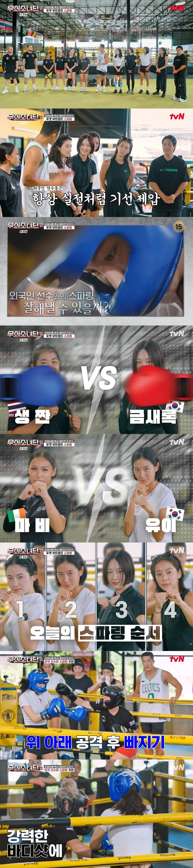 티브이데일리 포토