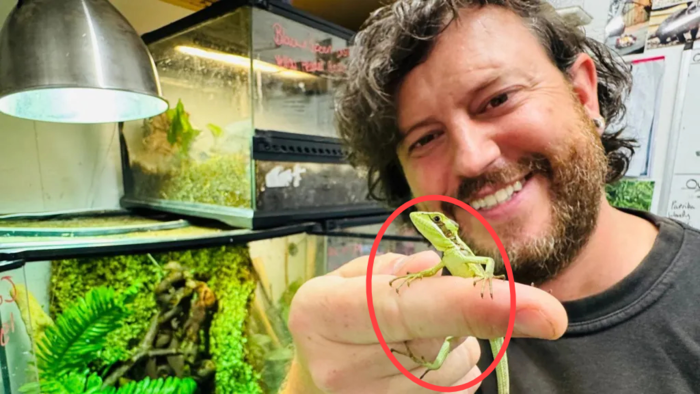 引用:Telford\'s Exotic Zoo