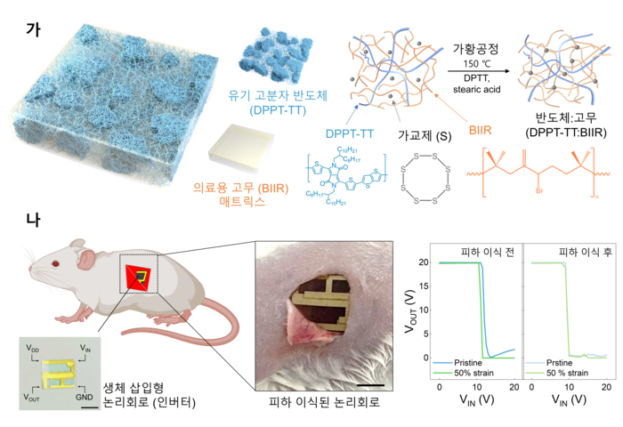 생체삽입형 유연 전자소자용 신축성 반도체 및 논리회로. (오진영 교수)