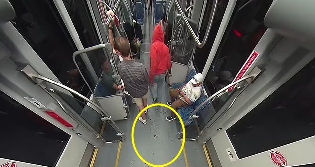 引用:Charlotte Area Transit System