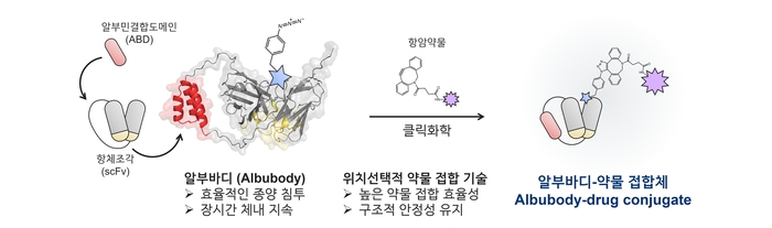 알부바디-약물 접합체.