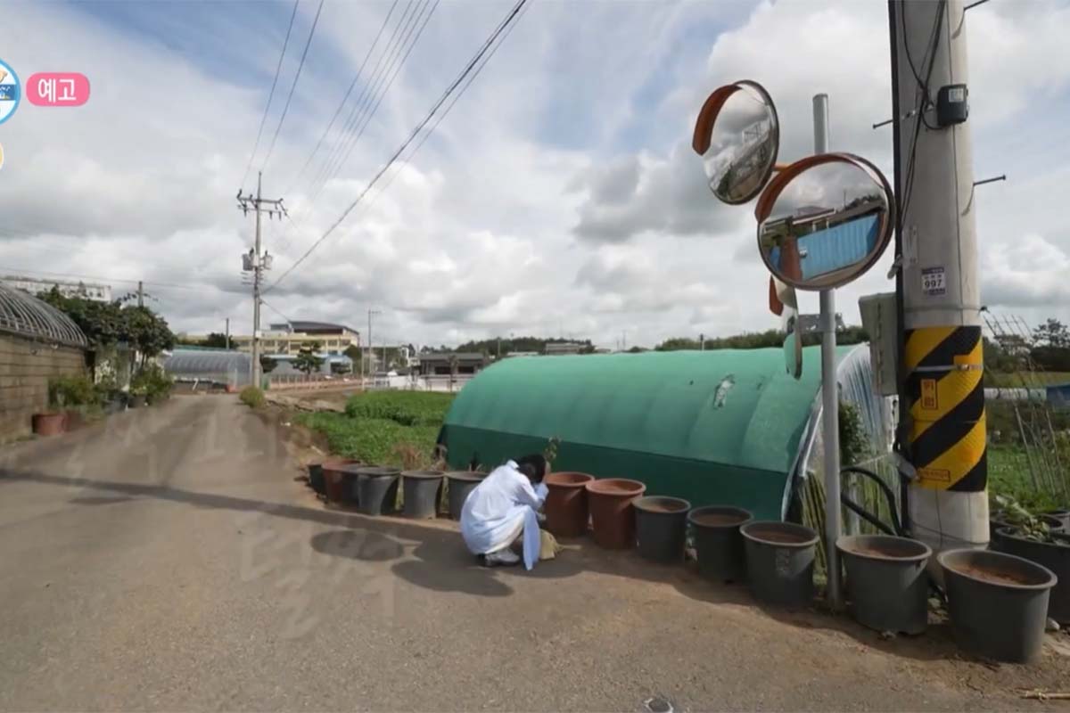 출처: MBC '나혼자 산다'