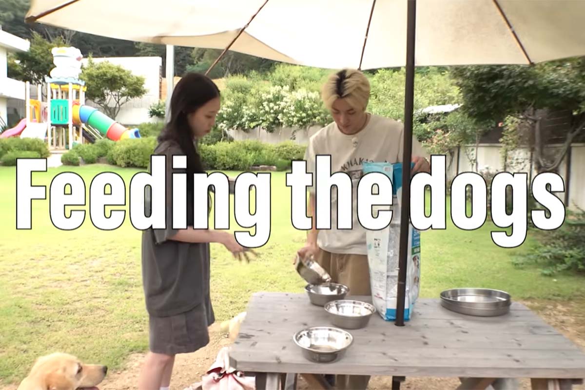 출처: 유튜브 '올데이 프로젝트'