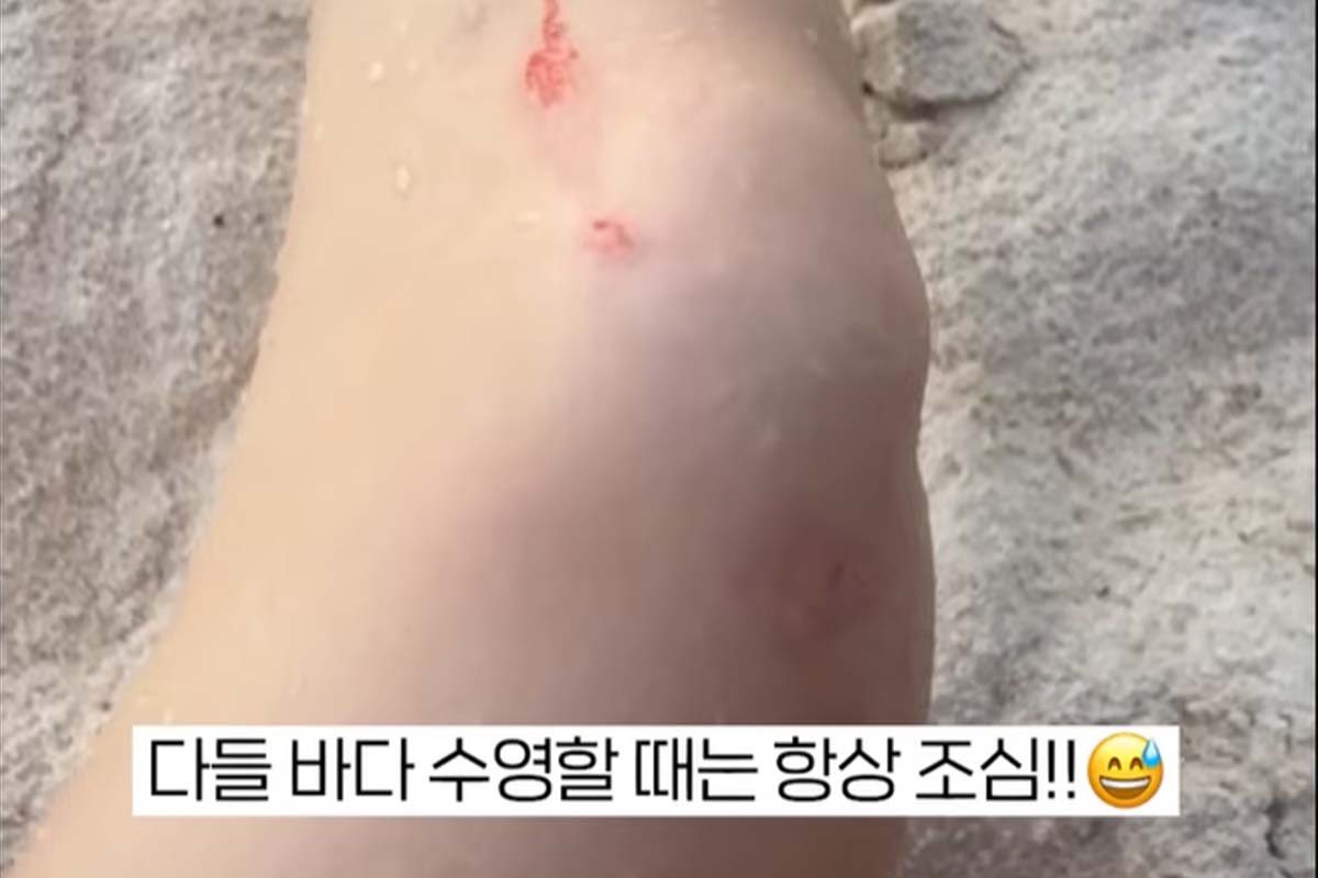 출처: 유튜브 '소유기'