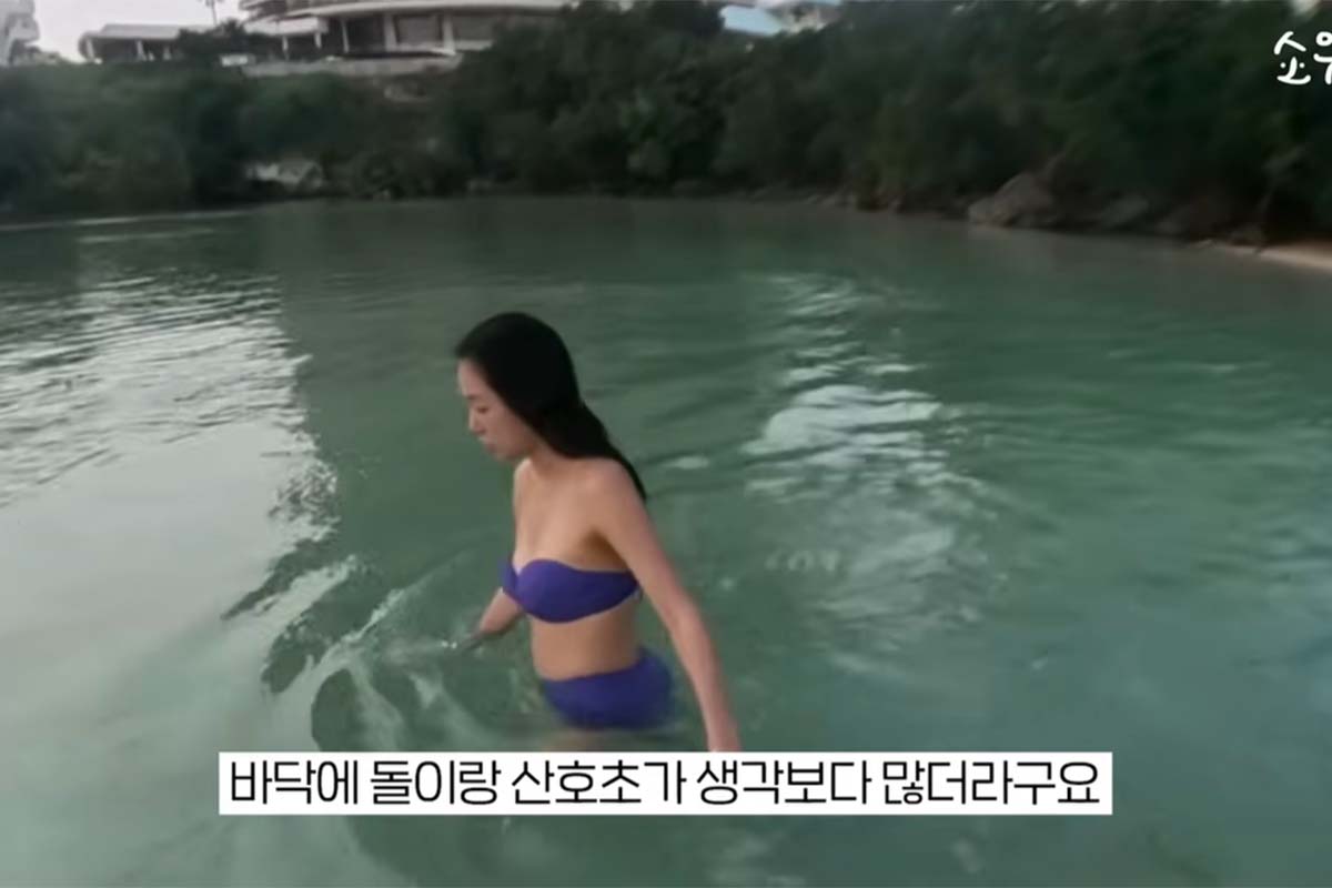 출처: 유튜브 '소유기'